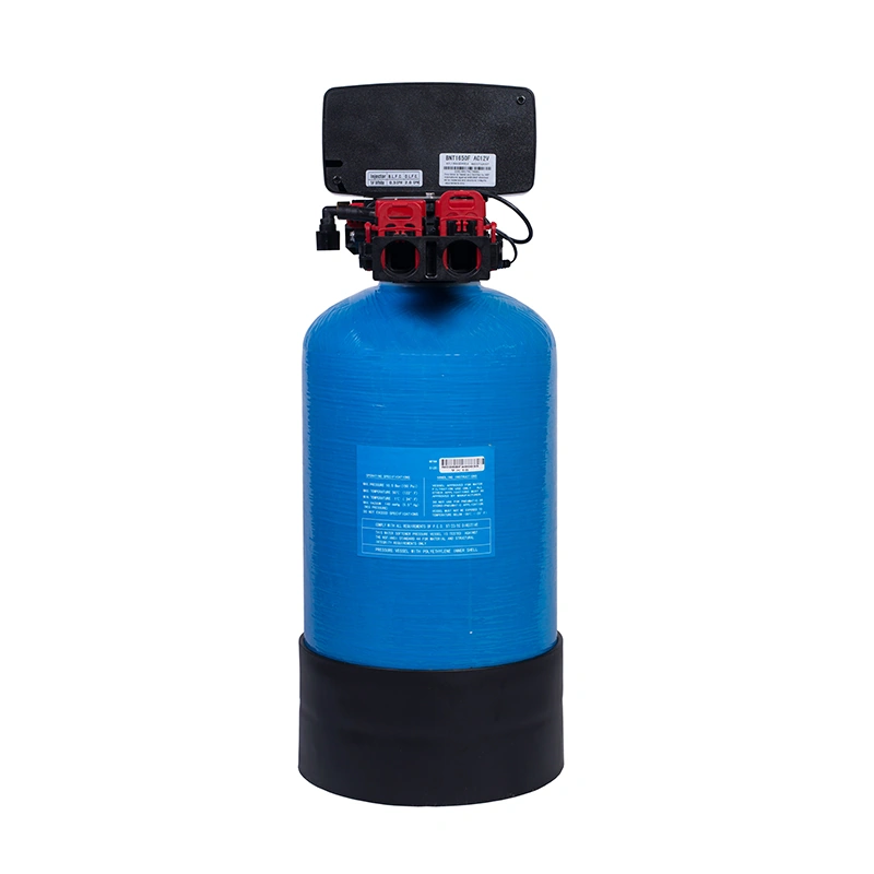 STATIE DEDURIZARE SOFT 10 SIMPLEX Q=0,8mc/h SARE 28KG (CU BY-PASS) - imagine 4